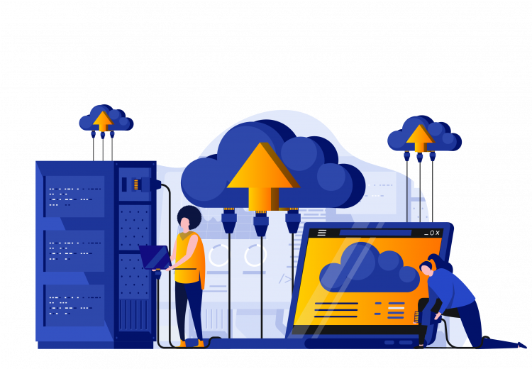 Website Hosting